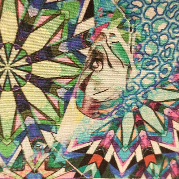 Amazing Shibori London Silk Kimono Jacket Psychedelic Frogs Handpainted & Print - Picture 6 of 11